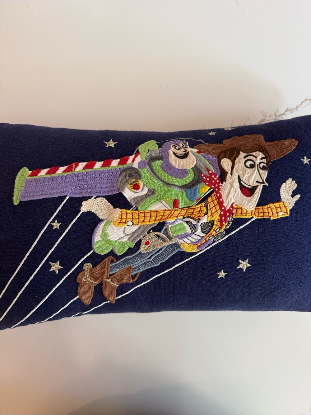 Pottery Barn Kids Disney Pixar Toy Story Woody Buzz Embroidered Pillow 12x21